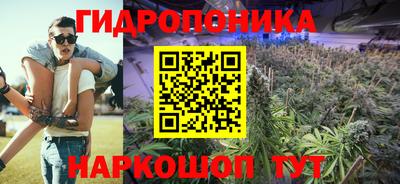 хмурый Малоярославец